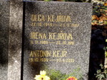 pa290338.jpg