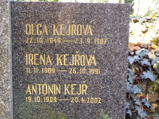 pa290340.jpg