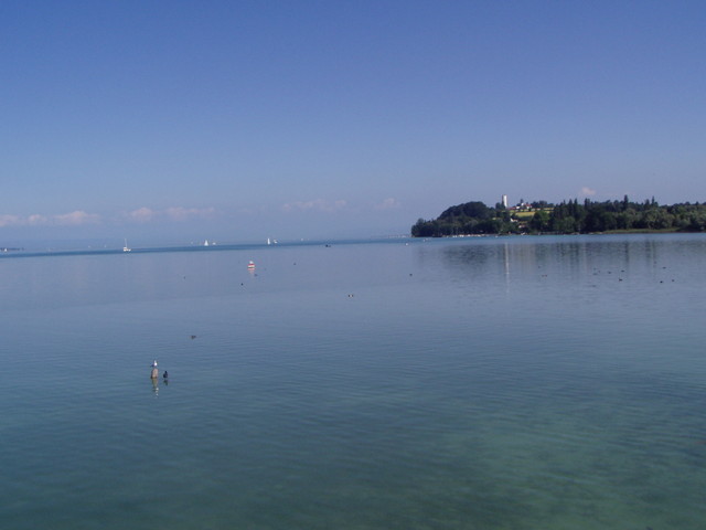 p7100001.jpg
