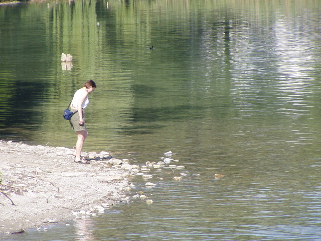 p7100003.jpg