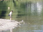 p7100003.jpg