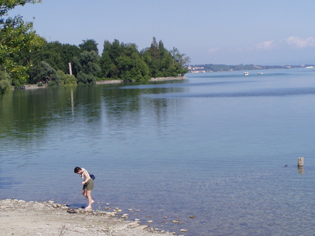 p7100004.jpg