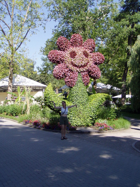p7100006.jpg