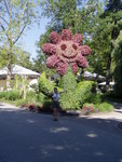 p7100006.jpg