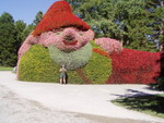 p7100007.jpg