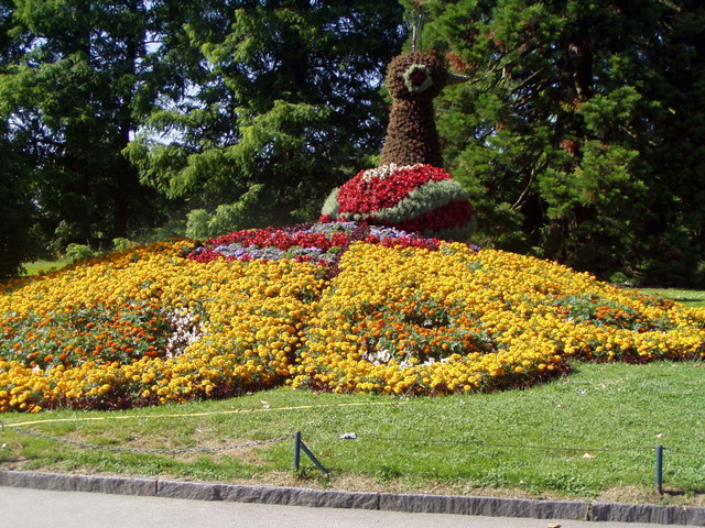 p7100009.jpg