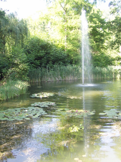 p7100012.jpg