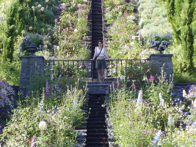 p7100017.jpg