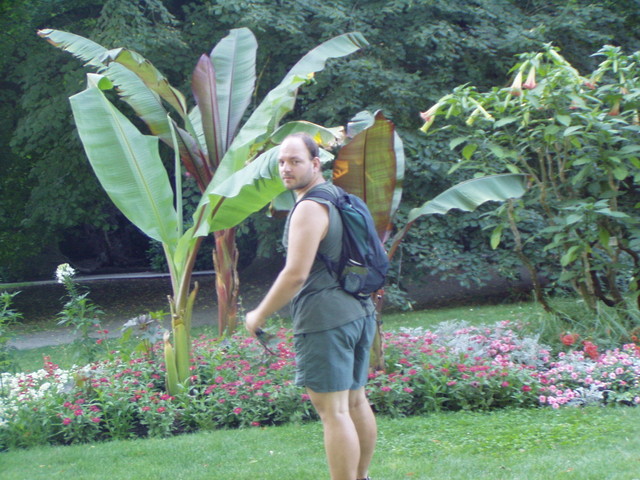 p7100027.jpg