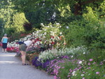 p7100039.jpg