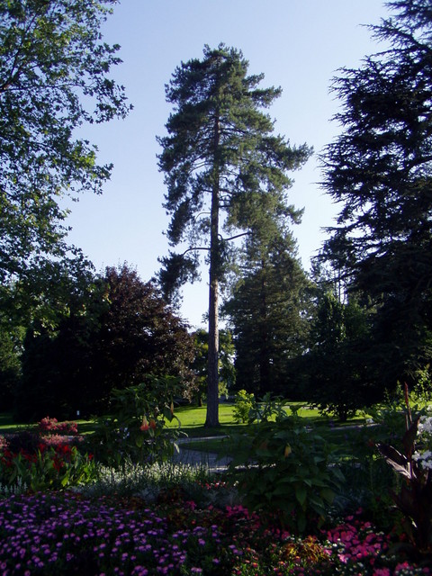 p7100040.jpg