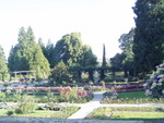 p7100045.jpg