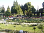 p7100046.jpg