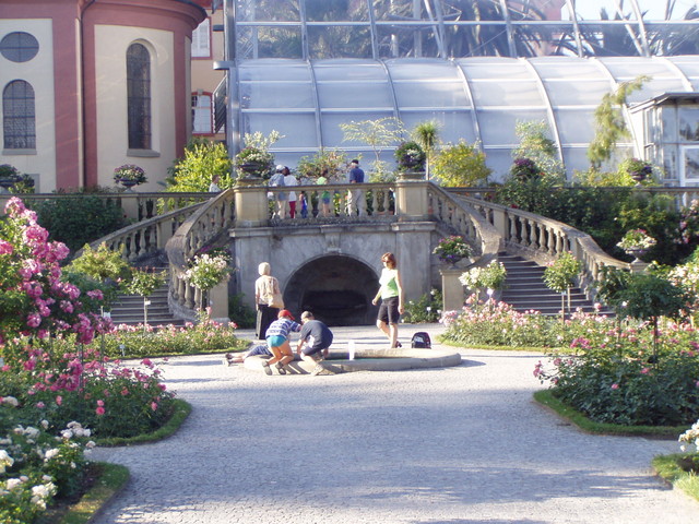 p7100048.jpg