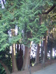 p7100052.jpg
