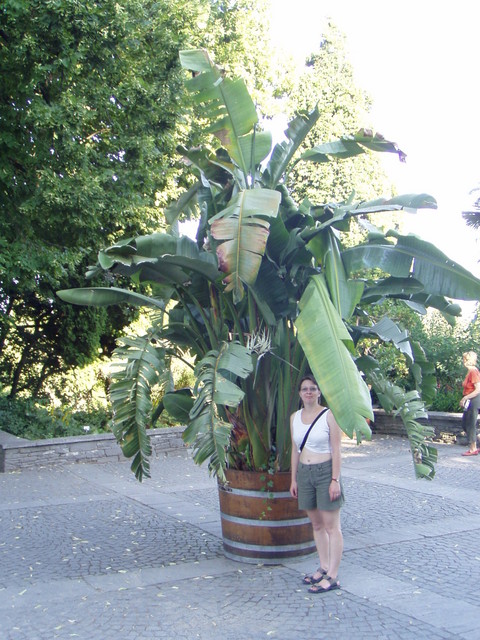 p7100054.jpg