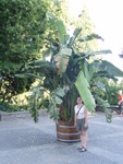 p7100054.jpg