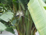 p7100055.jpg