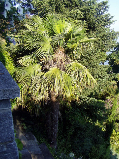 p7100058.jpg