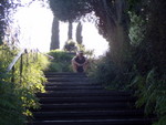 p7100061.jpg
