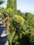 p7100068.jpg
