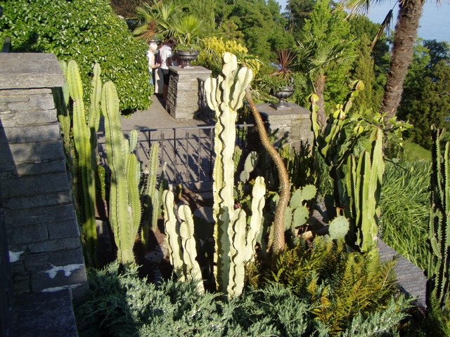 p7100069.jpg