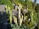 p7100069.jpg