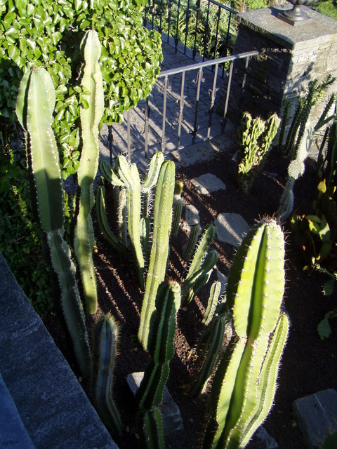 p7100070.jpg