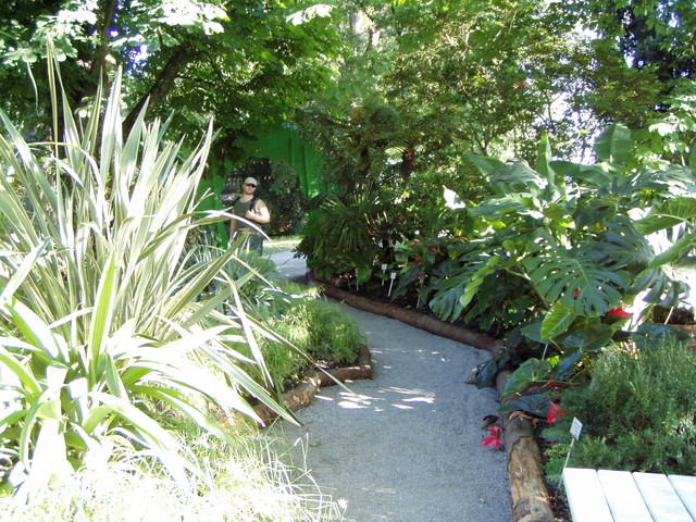 p7100073.jpg