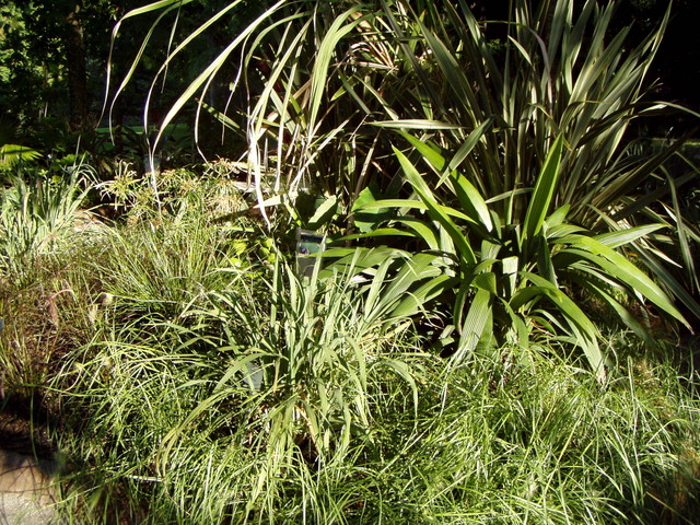 p7100075.jpg
