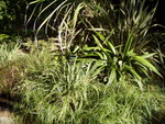 p7100075.jpg