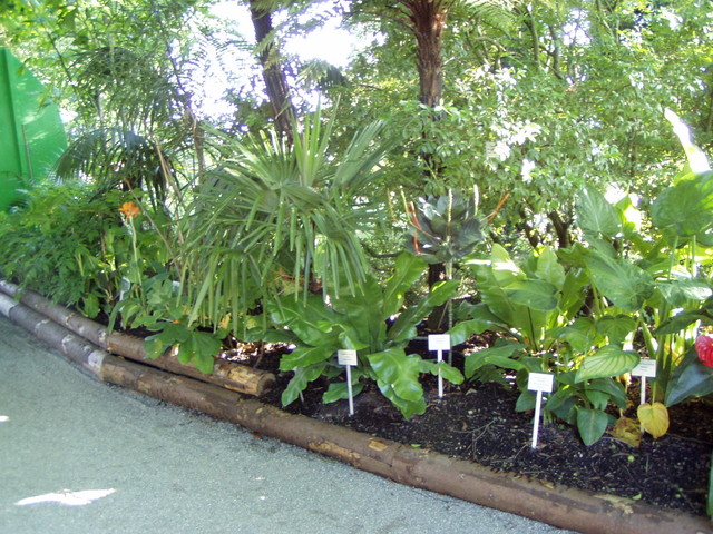 p7100078.jpg