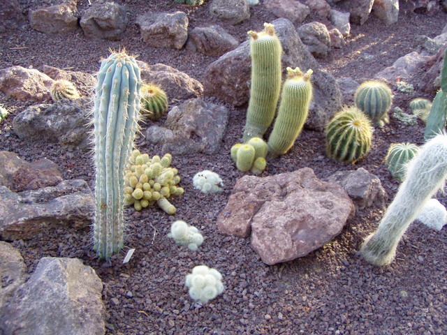 p7100079.jpg