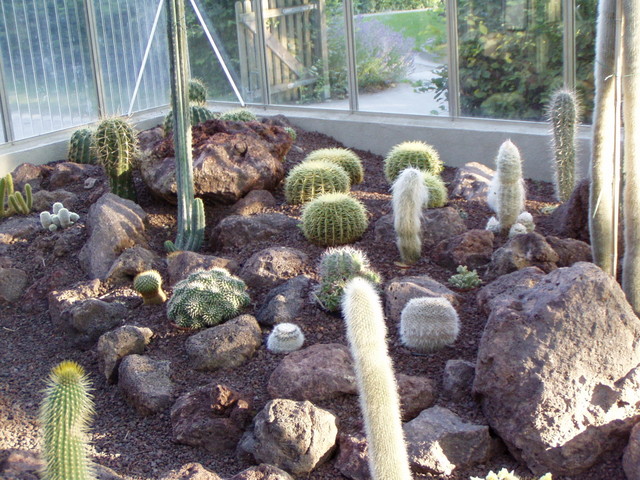 p7100080.jpg
