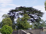 P8130446