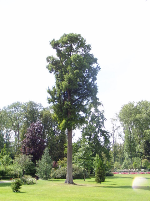 P8130409