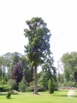 P8130409