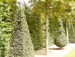 P8130389