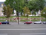 P8130503