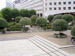 P8140625