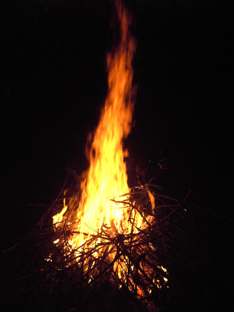PICT0761.JPG
