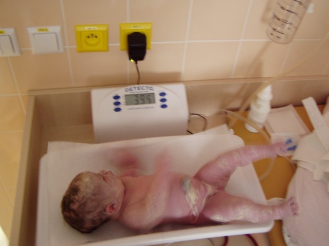 PA110779.JPG