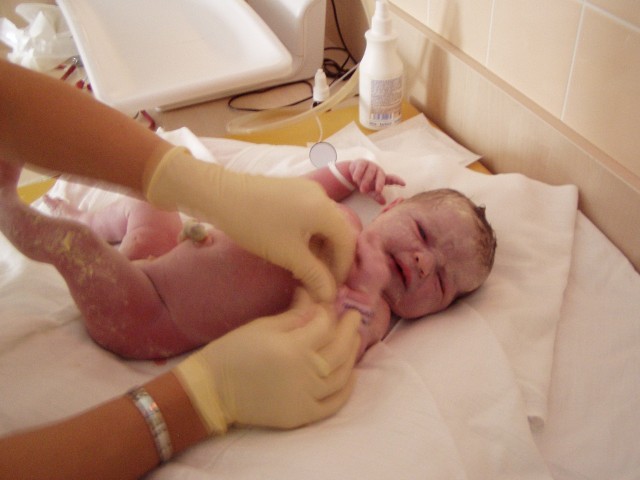 PA110780.JPG