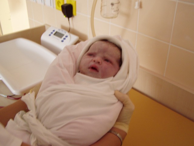 PA110785.JPG