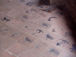 p8180006