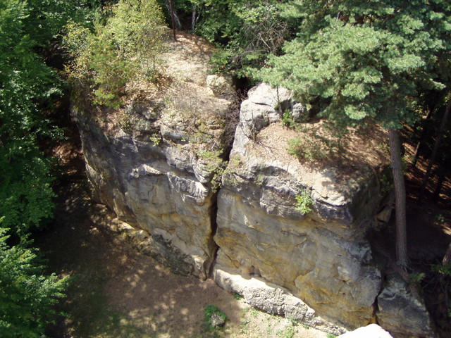p8180073