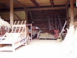 p8210399