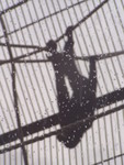 p8200174