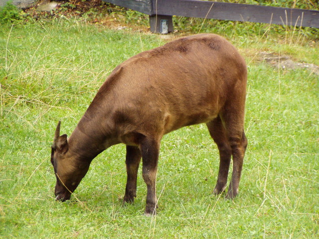 p8200185