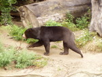 p8200208